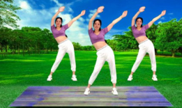 健身广场舞视频大全,舞动健康，乐享人生