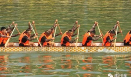 龙舟视频,共赏竞技风采